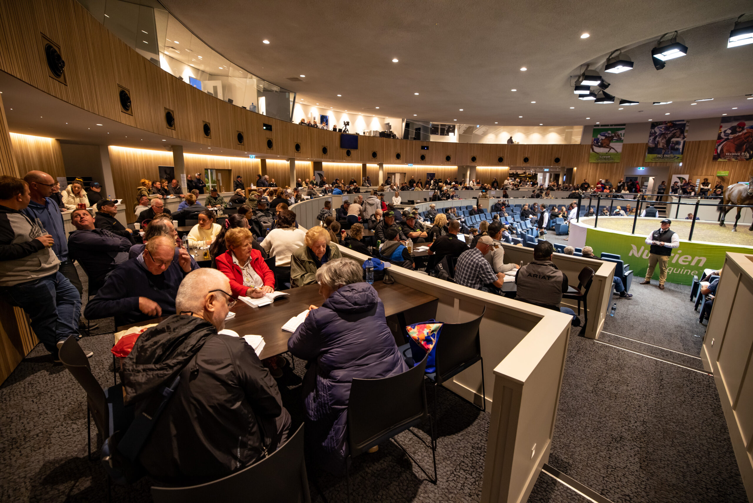 Pedigree preview updates for the 2022 Nutrien Equine Yearling Sales