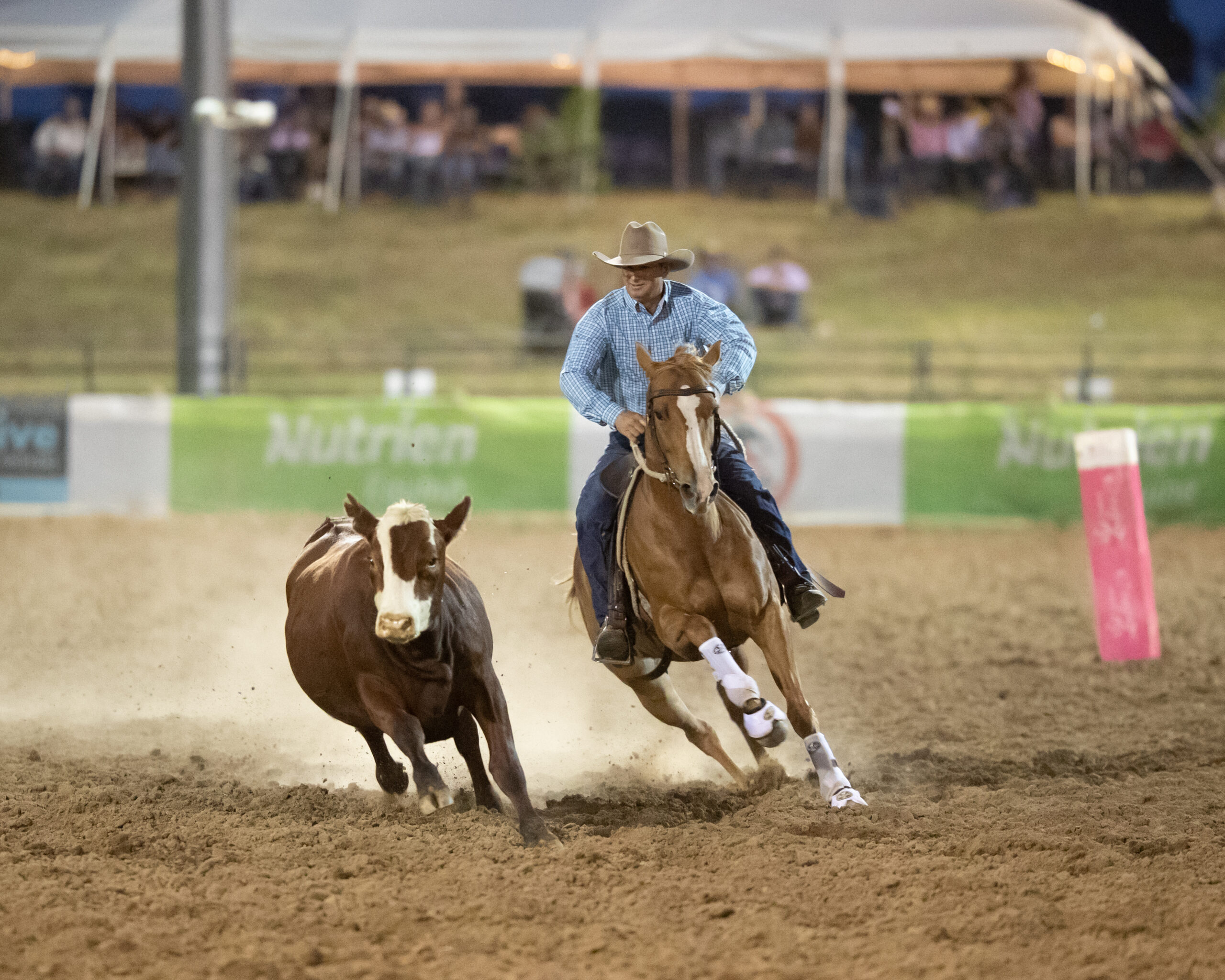 Nutrien Classic Update And Announcement Of New Graduates Campdraft For 2023!