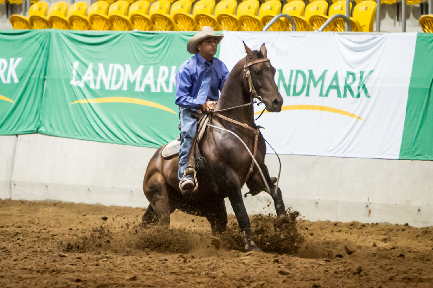 2014 Prydes EasiFeeds Australian Performance Horse Challenge