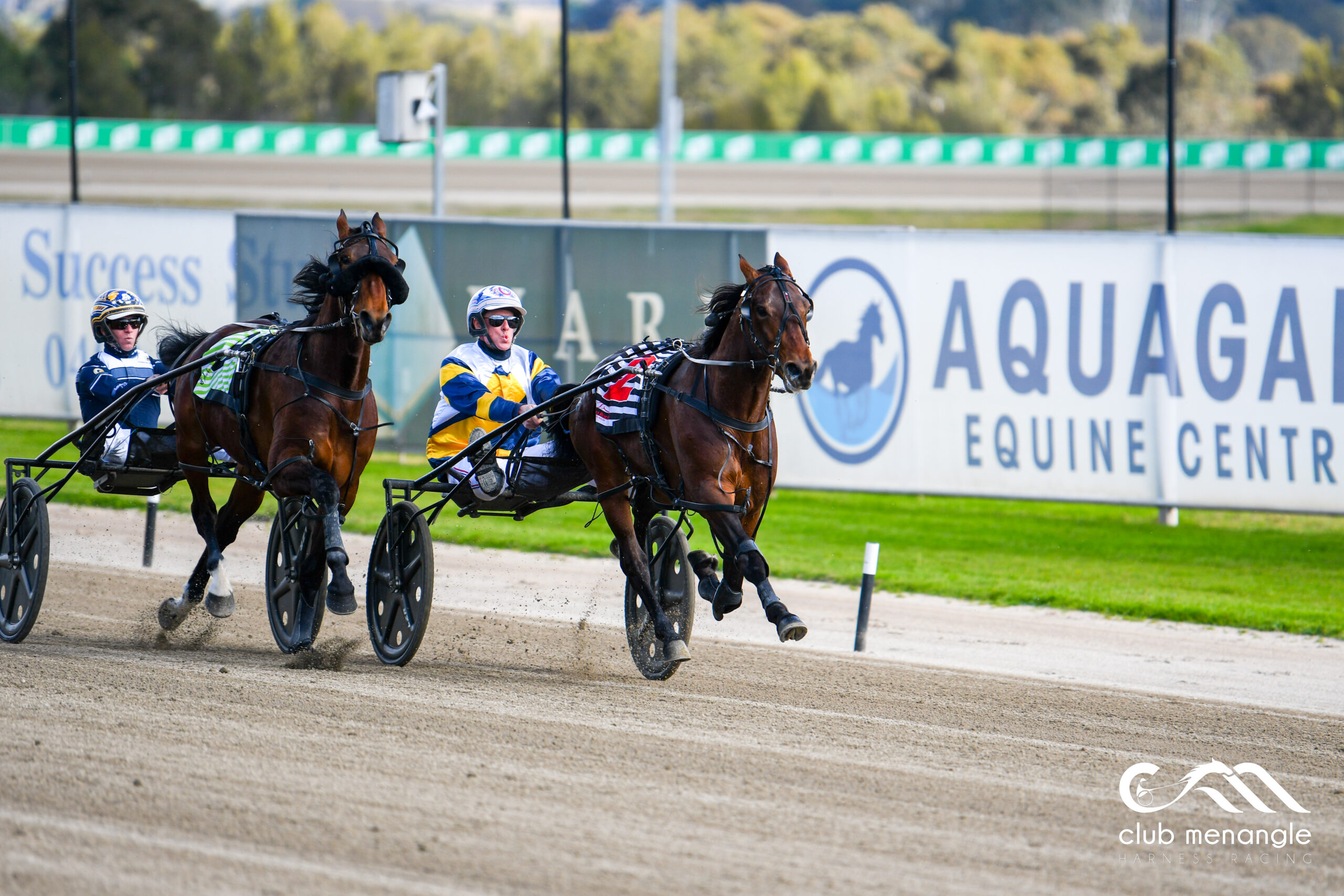 First Heats run for the 2022 Nutrien Equine Race Series at Club Menangle