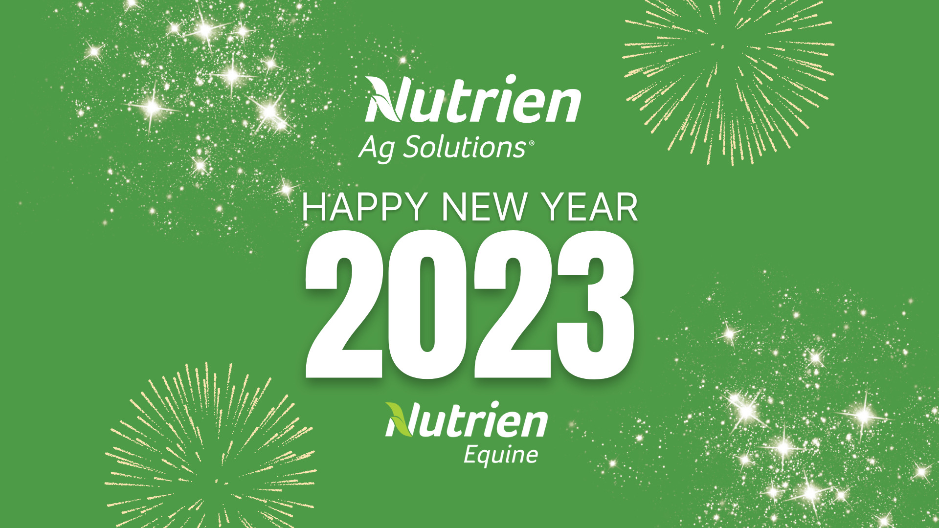 Celebrating the New Year with Pedigree Updates for 2023 Nutrien Equine Yearling Sales