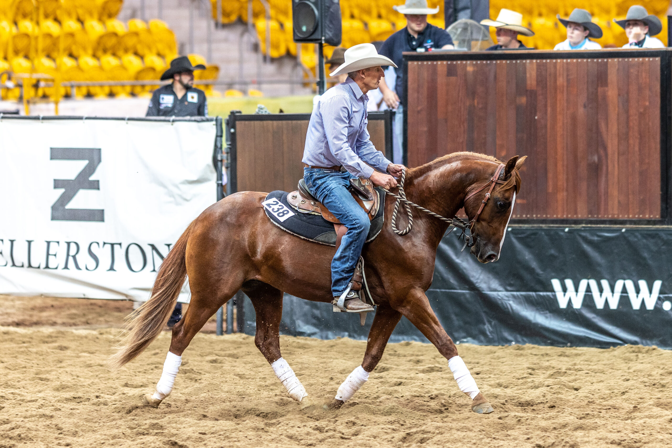 Momentum continued with solid prices on Day 2 of the 2023 Nutrien Classic Sale