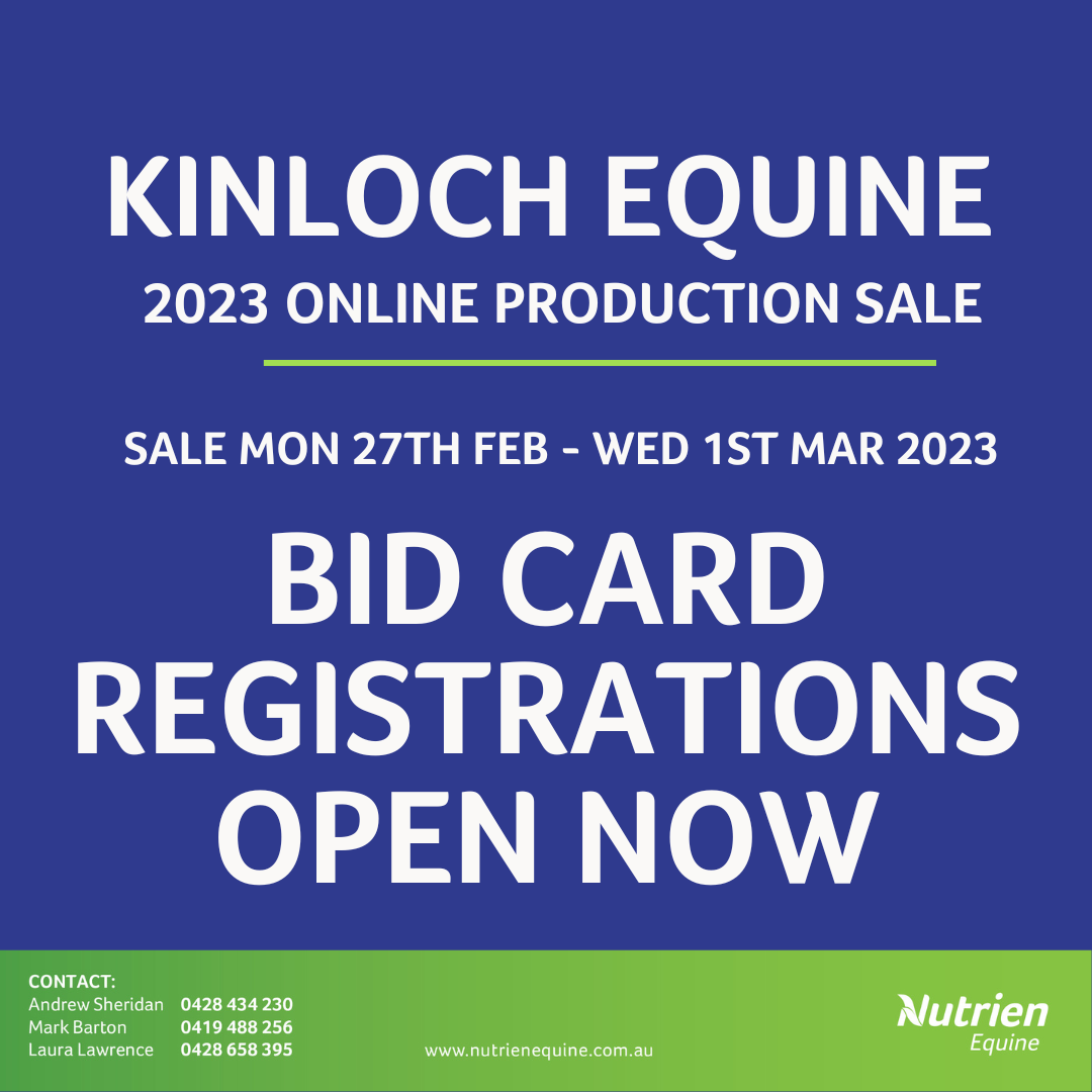 BID CARD REGO OPEN for 2023 Kinloch Production Sale