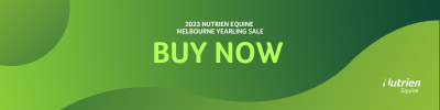 BUY Now Prices for Passed in Yearlings at the 2023 Melbourne Yearling Sale.