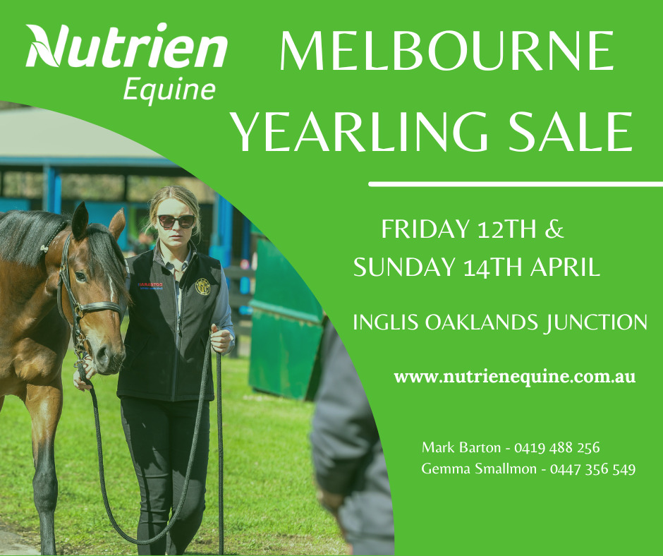 2024 Melbourne Yearling Sale Catalogue