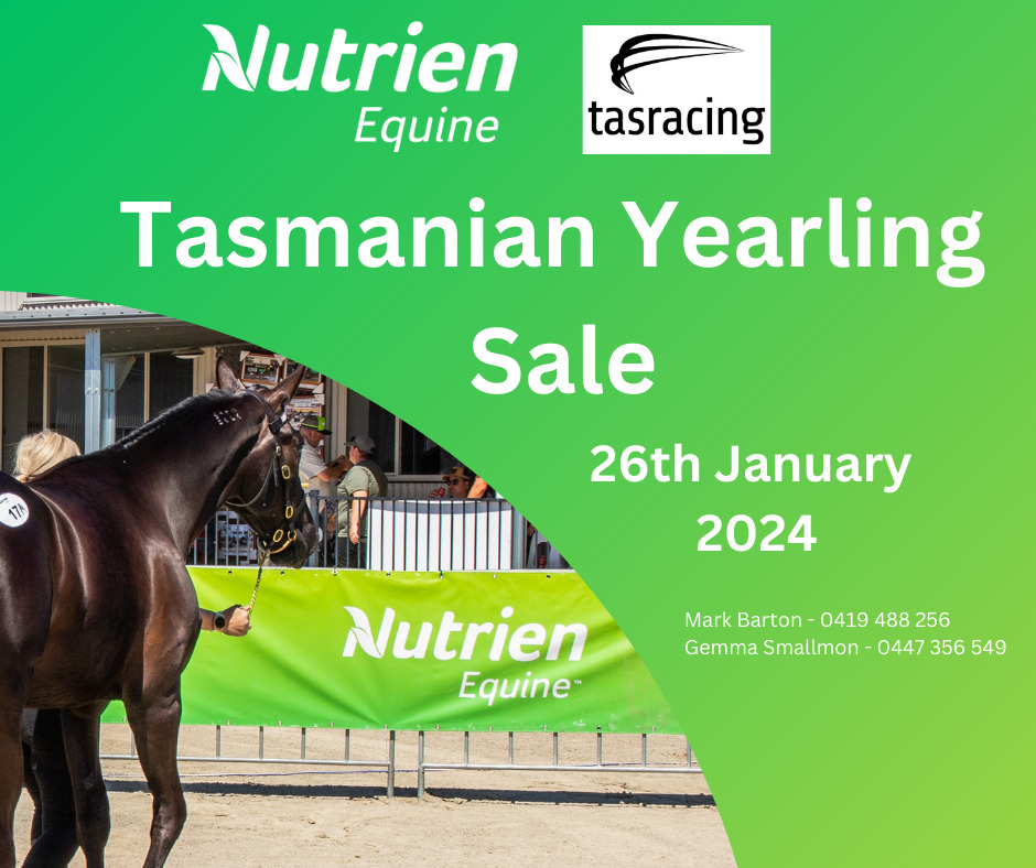 2024 Tasmanian Yearling Sale Webcast