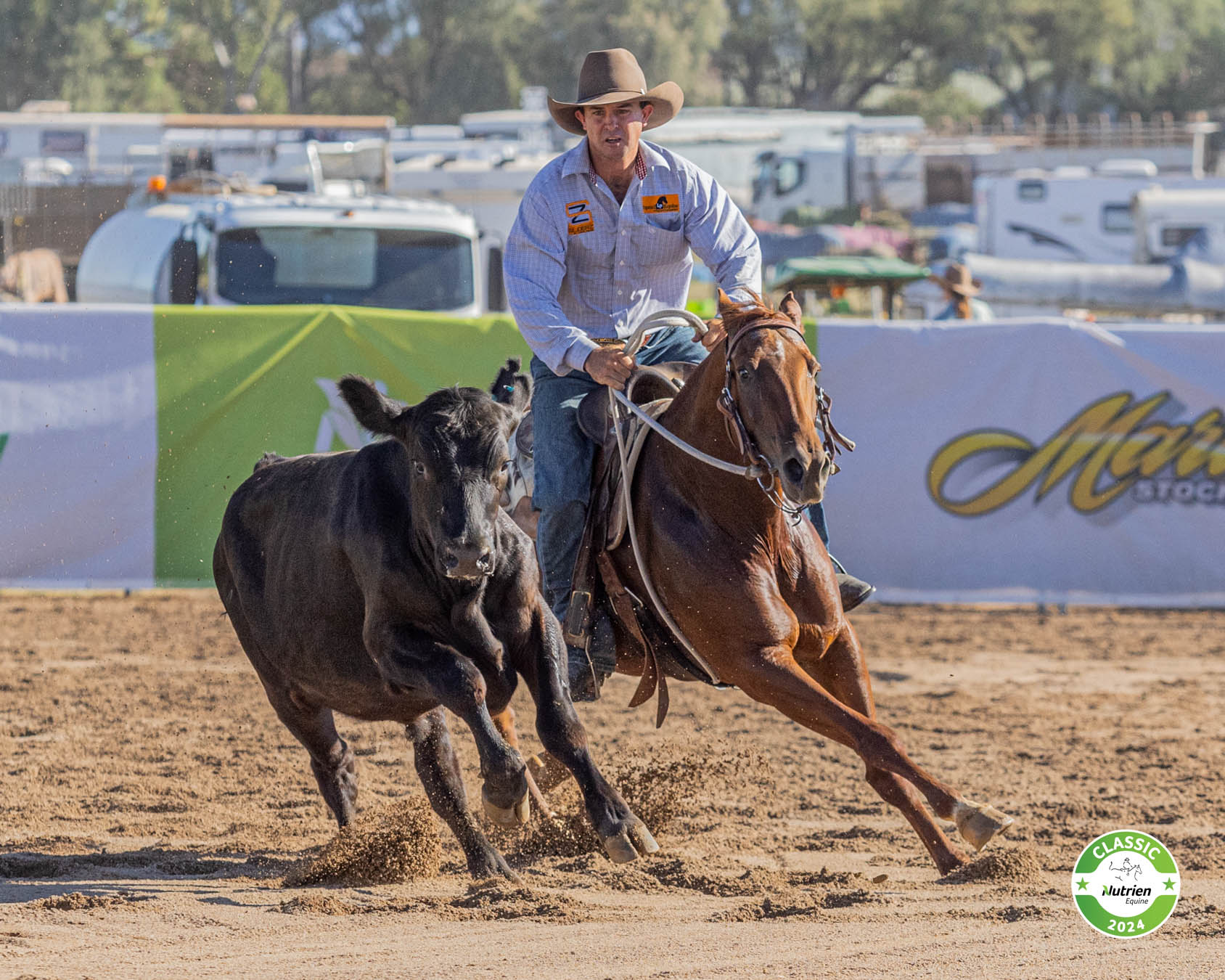 Sizzling Day One at the 2024 Nutrien Classic Campdraft & Sale kicks off